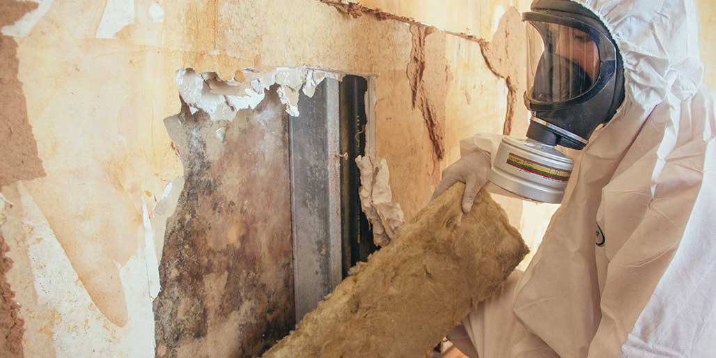 Mold Inspection | Big Red Environmental